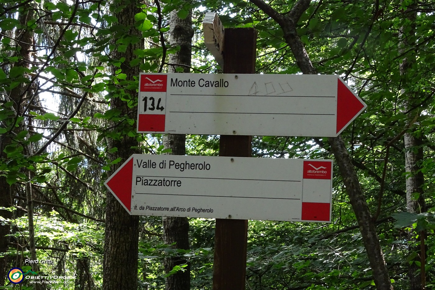 72 Dai Prati di Pegherolo entro nel sent. CAI 134 e lo scendo a sx.JPG